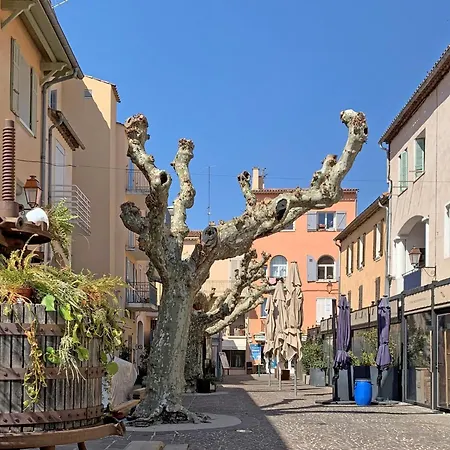 Maison Kiwi * Grimaud